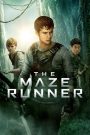 ตัวอย่าง The Maze Runner 1 (2014) เมซ รันเนอร์ 1 : วงกตมฤตยู