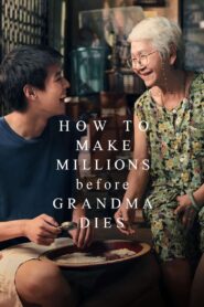 How to Make Millions Before Grandma Dies (2024) หลานม่า