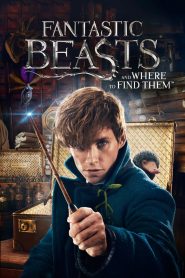 Fantastic Beasts and Where to Find Them (2016) สัตว์มหัศจรรย์และถิ่นที่อยู่