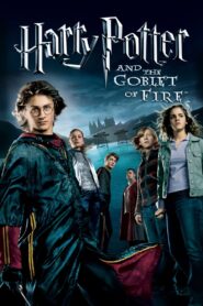 Harry Potter 4 and the Goblet of Fire (2005)